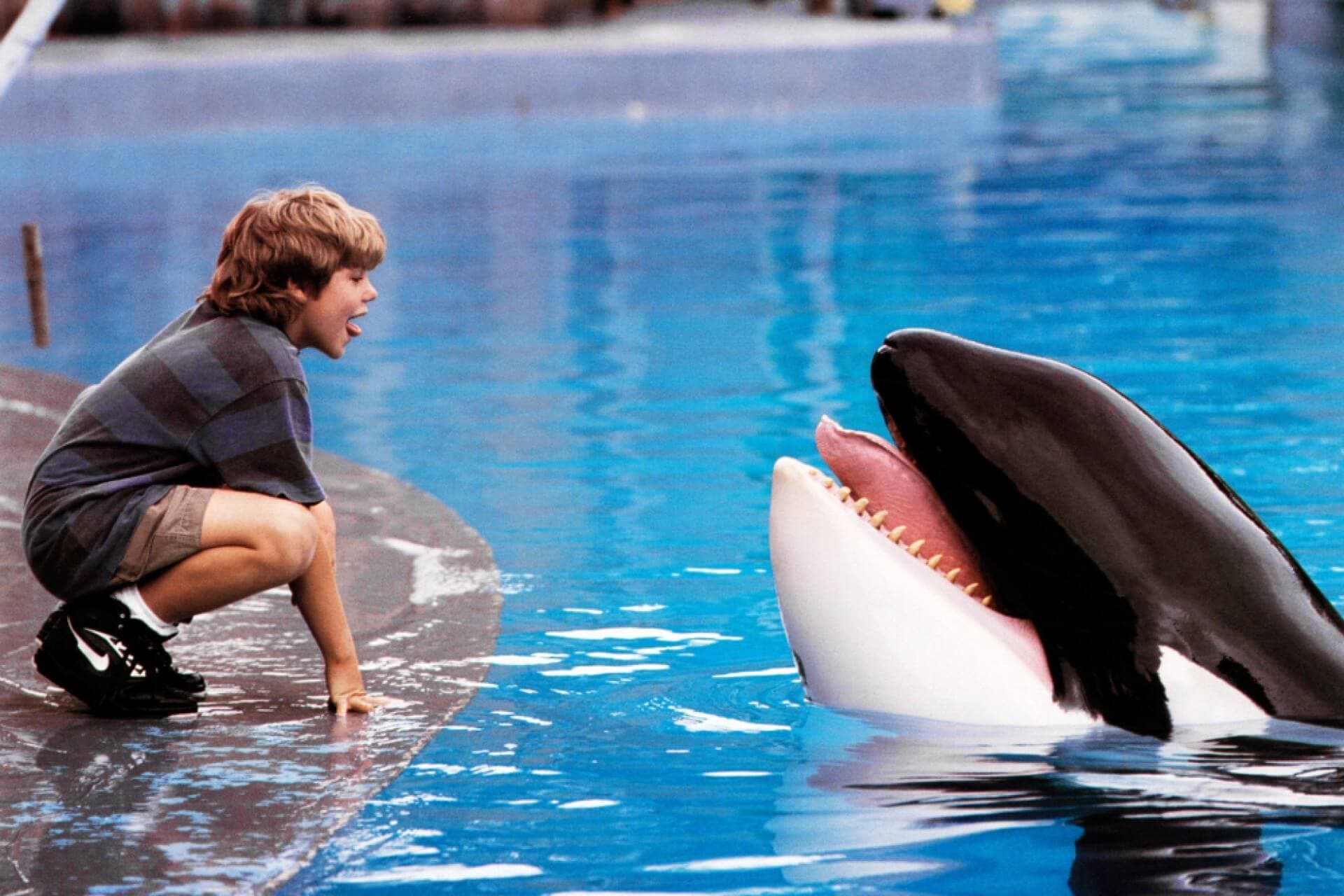 Free Willy 1993